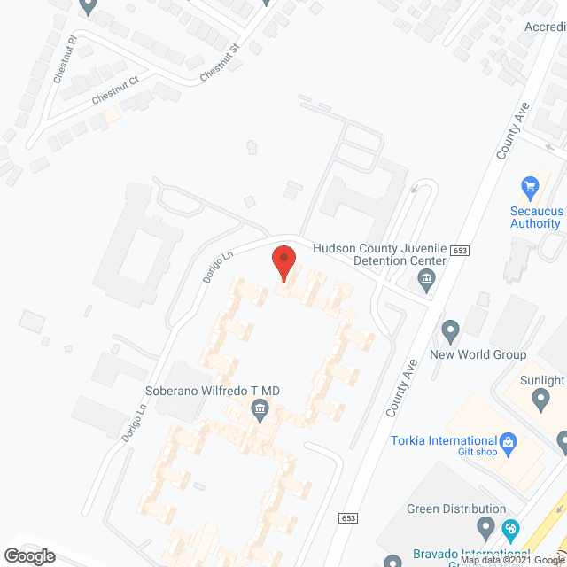 Hudson Manor Healthcare Center in google map