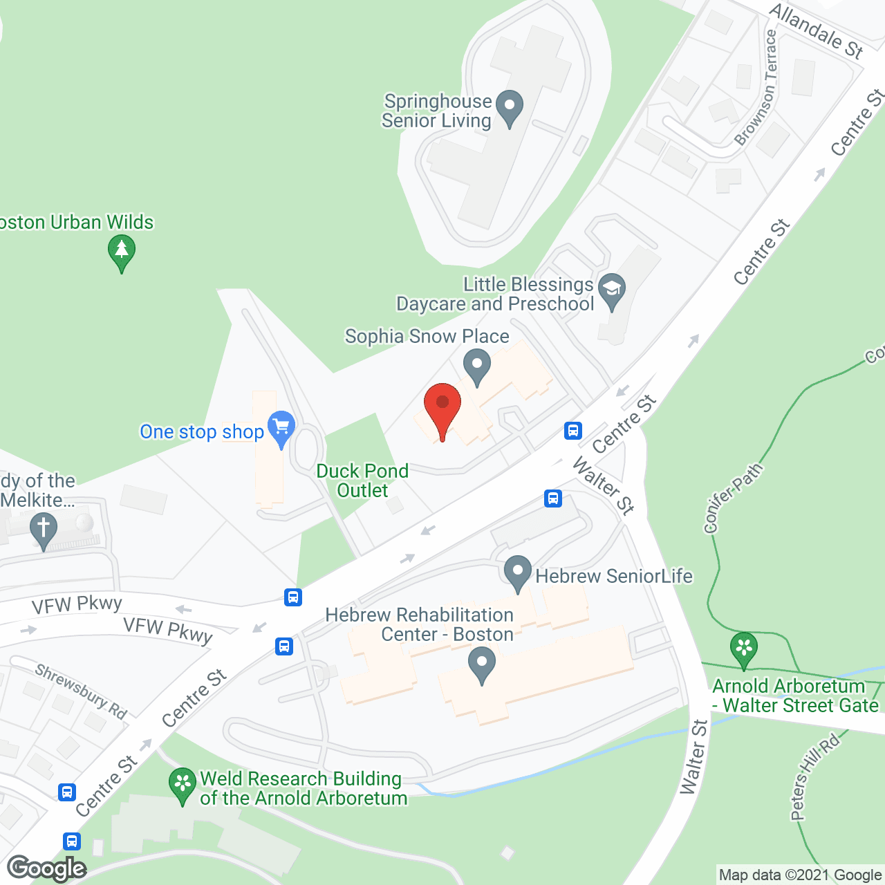 Sophia Snow Place in google map