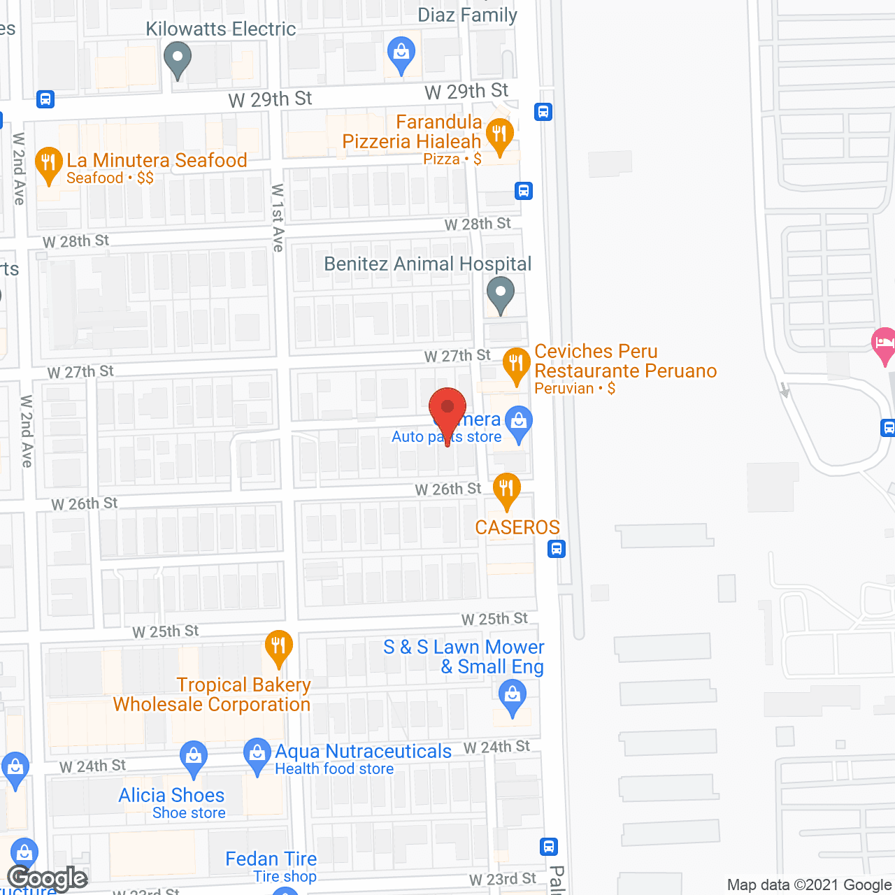 Oasis Home For the Elderly in google map